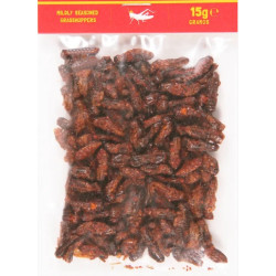 Sauterelle au piment 15gr